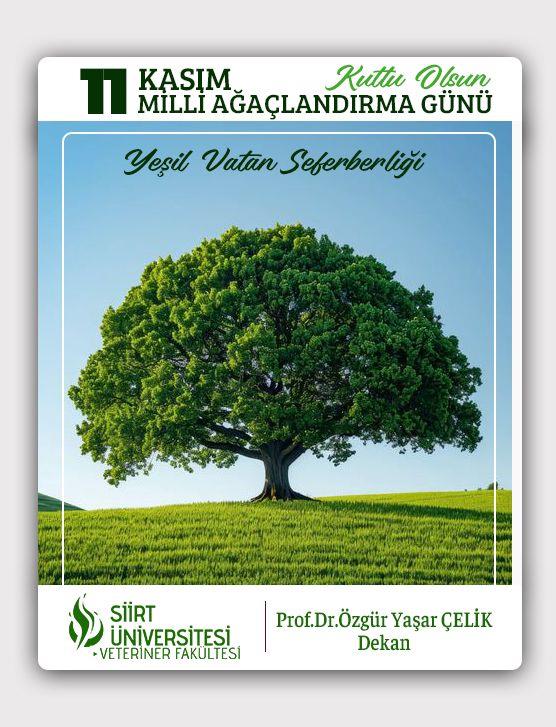 11 Kasım Milli Ağaçlandırma Günü